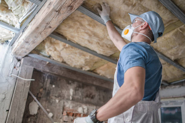 Best Commercial Insulation in Mason Neck, VA